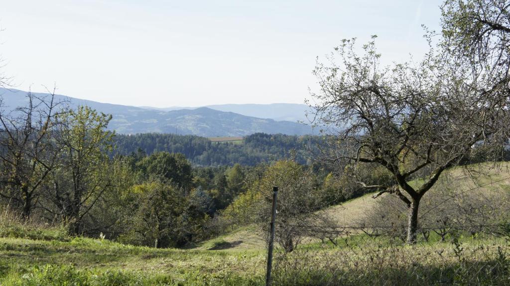 Landvilla Pia Attendorf Bagian luar foto